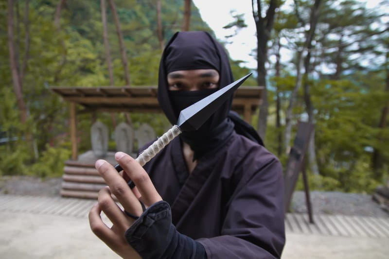 Ninja with His Weapon